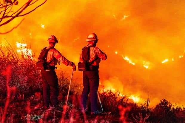 Wildfires Burnt Over 4000 acres in Malibu