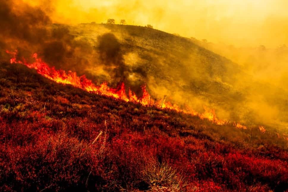 More than a dozen wildfires are currently burning across California. Initial outbreaks were reported on August 1